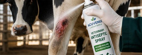 Veterinary Feed Suppliments